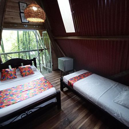 Hostal Las Mariposas Minca Exteriör bild