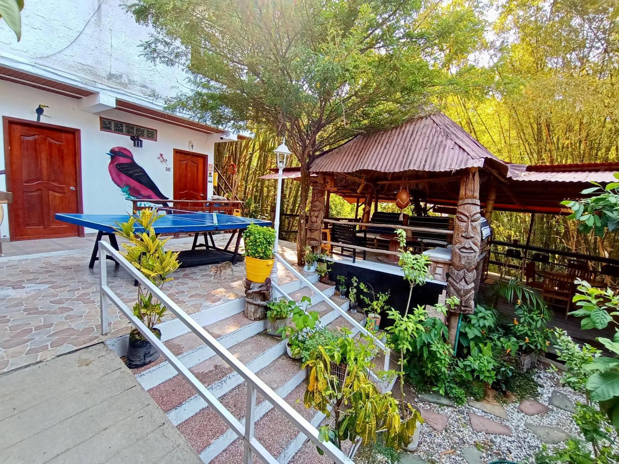 Hostal Las Mariposas Minca Exteriör bild