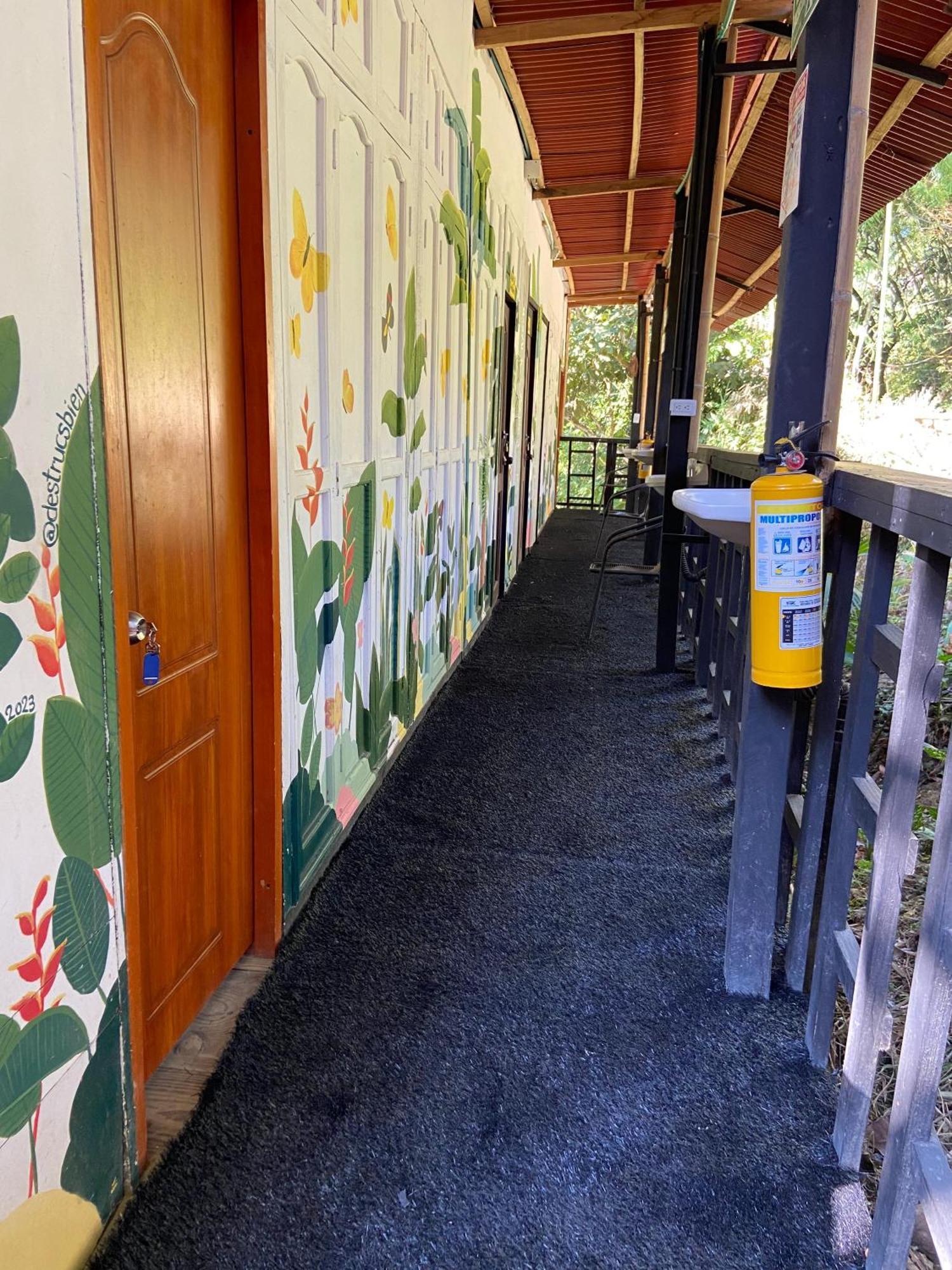 Hostal Las Mariposas Minca Exteriör bild