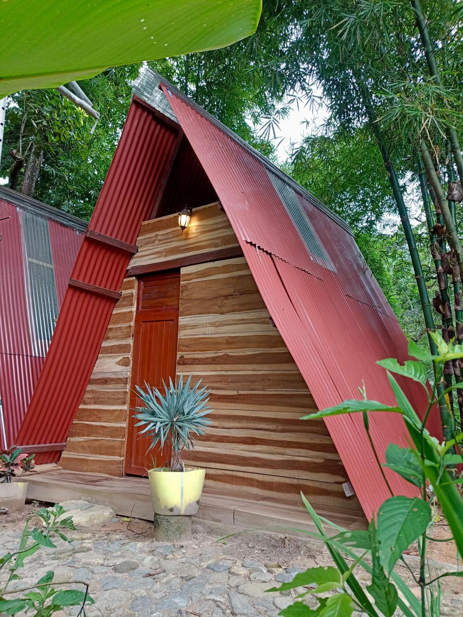 Hostal Las Mariposas Minca Exteriör bild