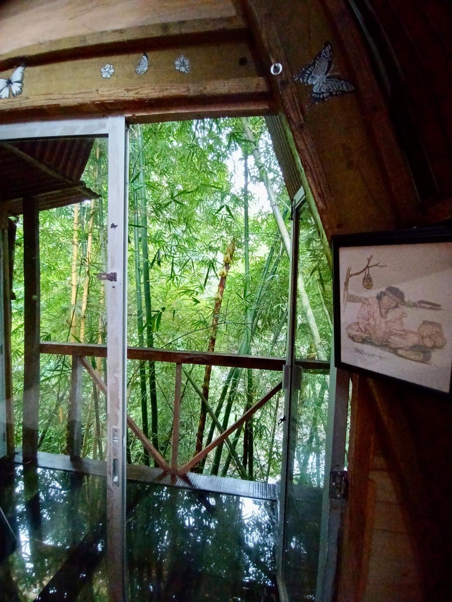 Hostal Las Mariposas Minca Exteriör bild