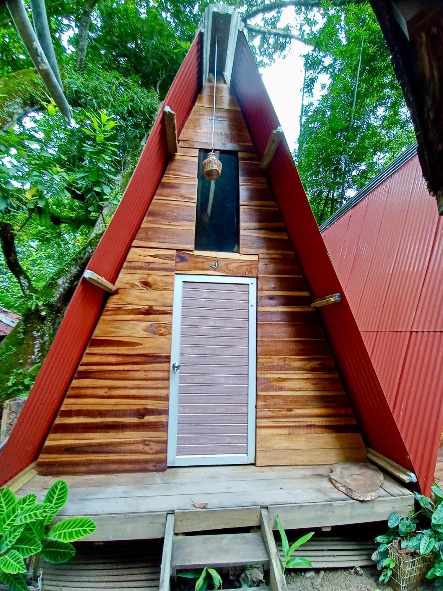 Hostal Las Mariposas Minca Exteriör bild
