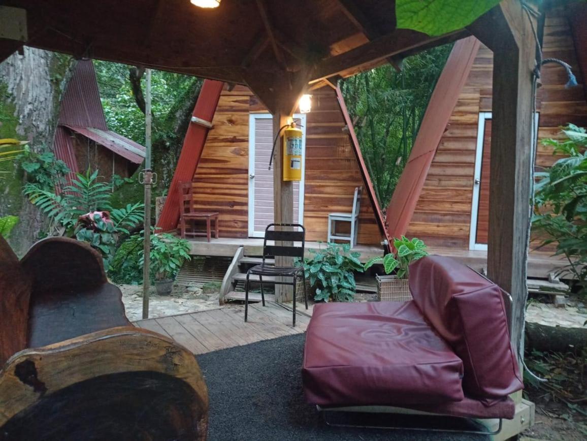 Hostal Las Mariposas Minca Exteriör bild