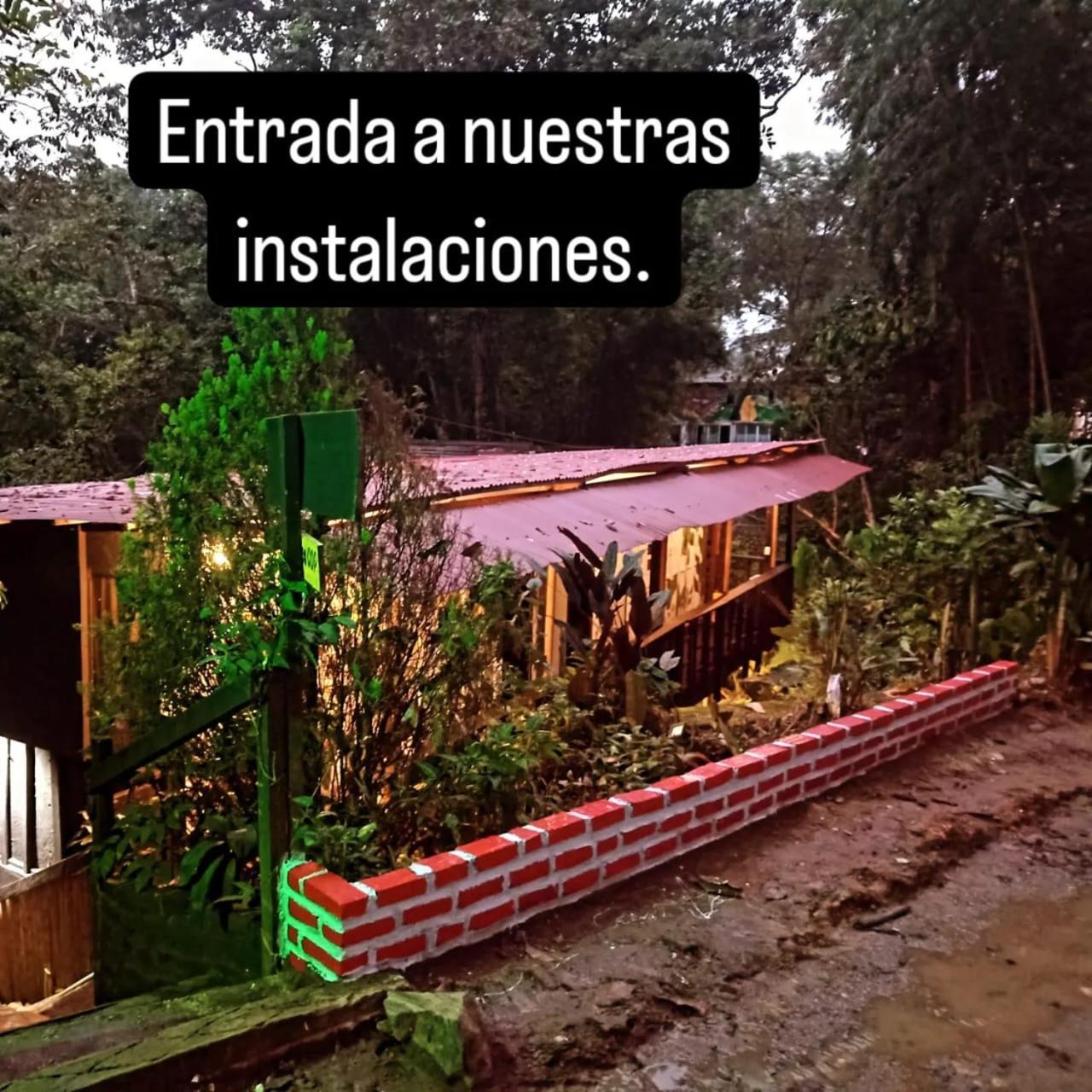 Hostal Las Mariposas Minca Exteriör bild