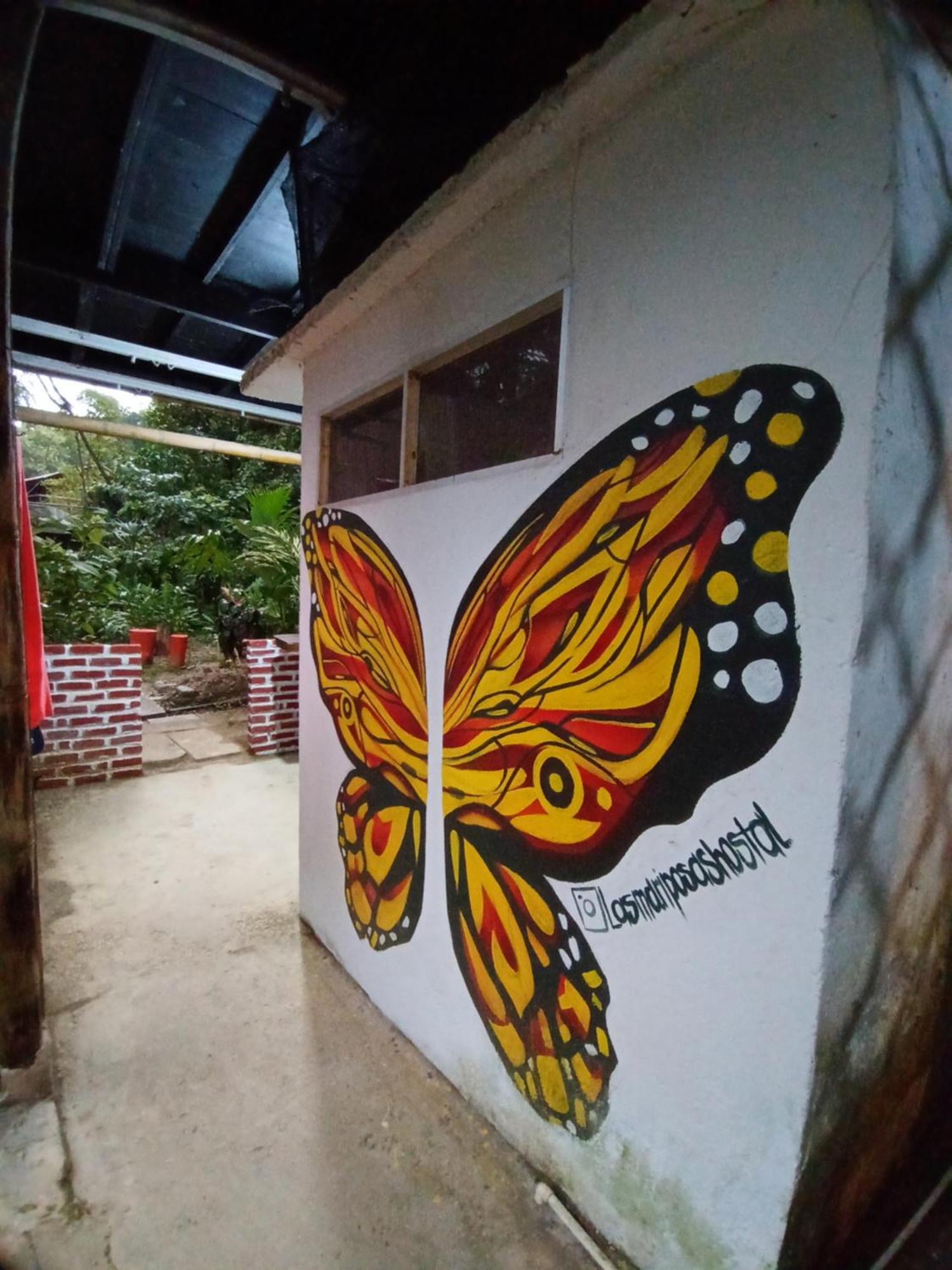 Hostal Las Mariposas Minca Exteriör bild