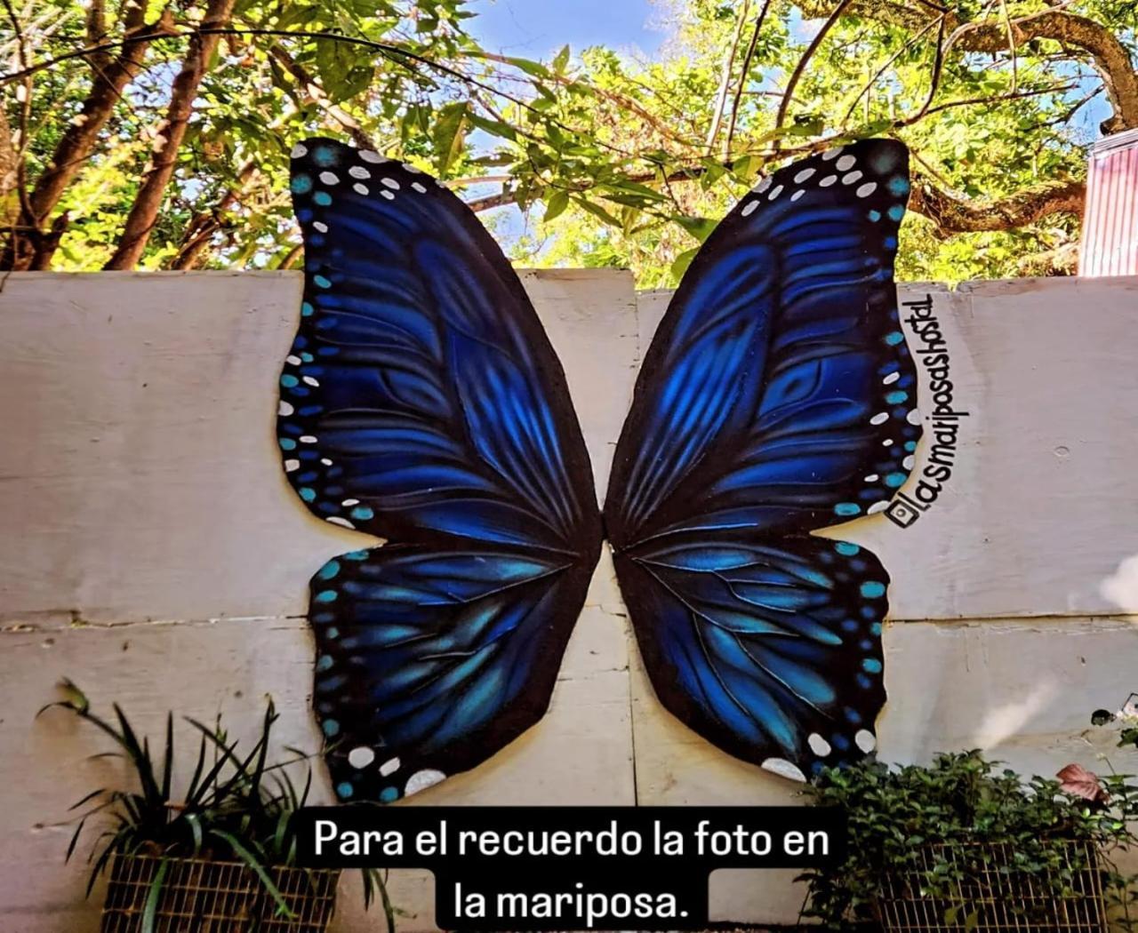Hostal Las Mariposas Minca Exteriör bild