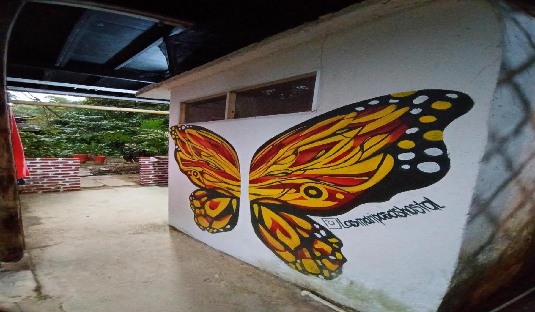 Hostal Las Mariposas Minca Exteriör bild